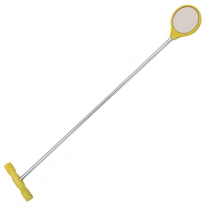 Text