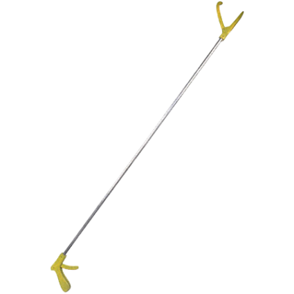 Text