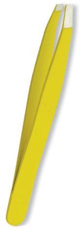 Text